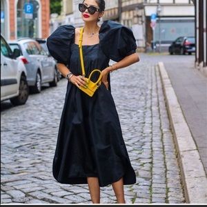 Zara NWT Voluminous Taffeta Dress 🦋🦋🦋